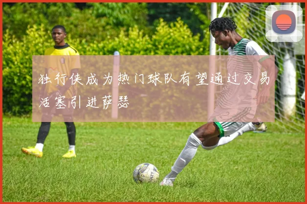 独行侠成为热门球队有望通过交易活塞引进萨瑟