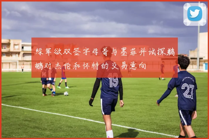 绿军欲双签字母哥与墨菲并试探鹈鹕对杰伦和怀特的交易意向